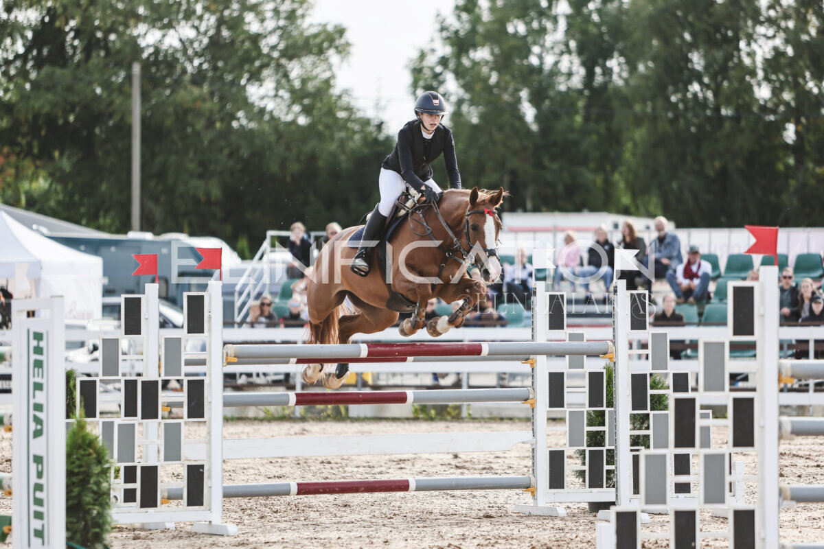 NHTS_2026_7_hc130-135cm_152