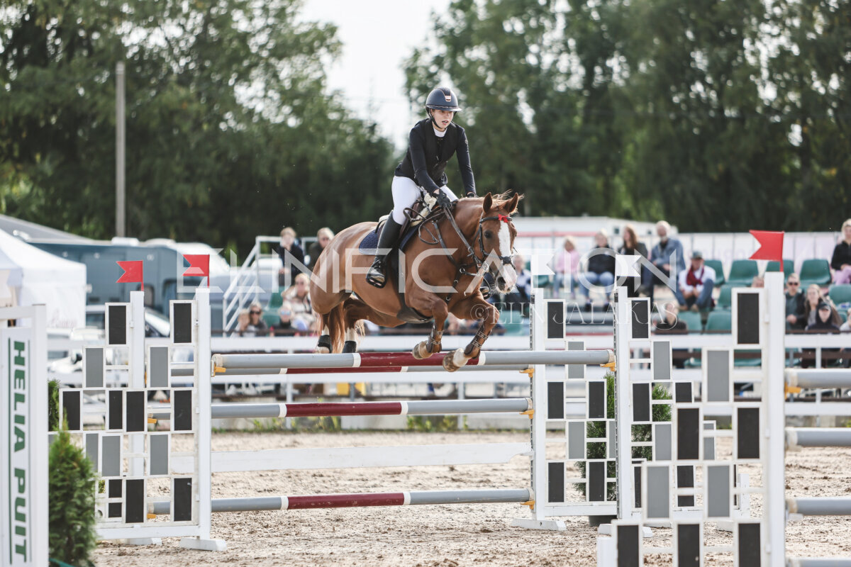 NHTS_2026_7_hc130-135cm_153