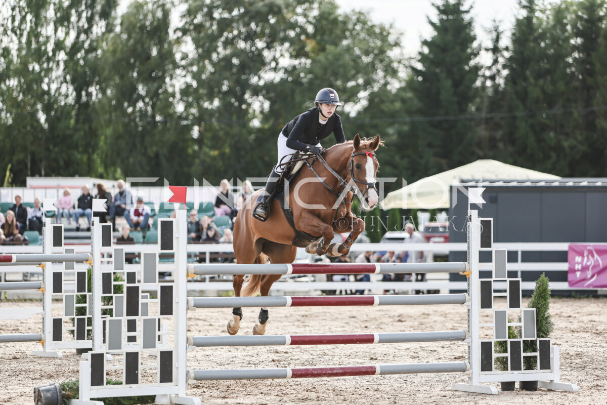 NHTS_2026_7_hc130-135cm_154