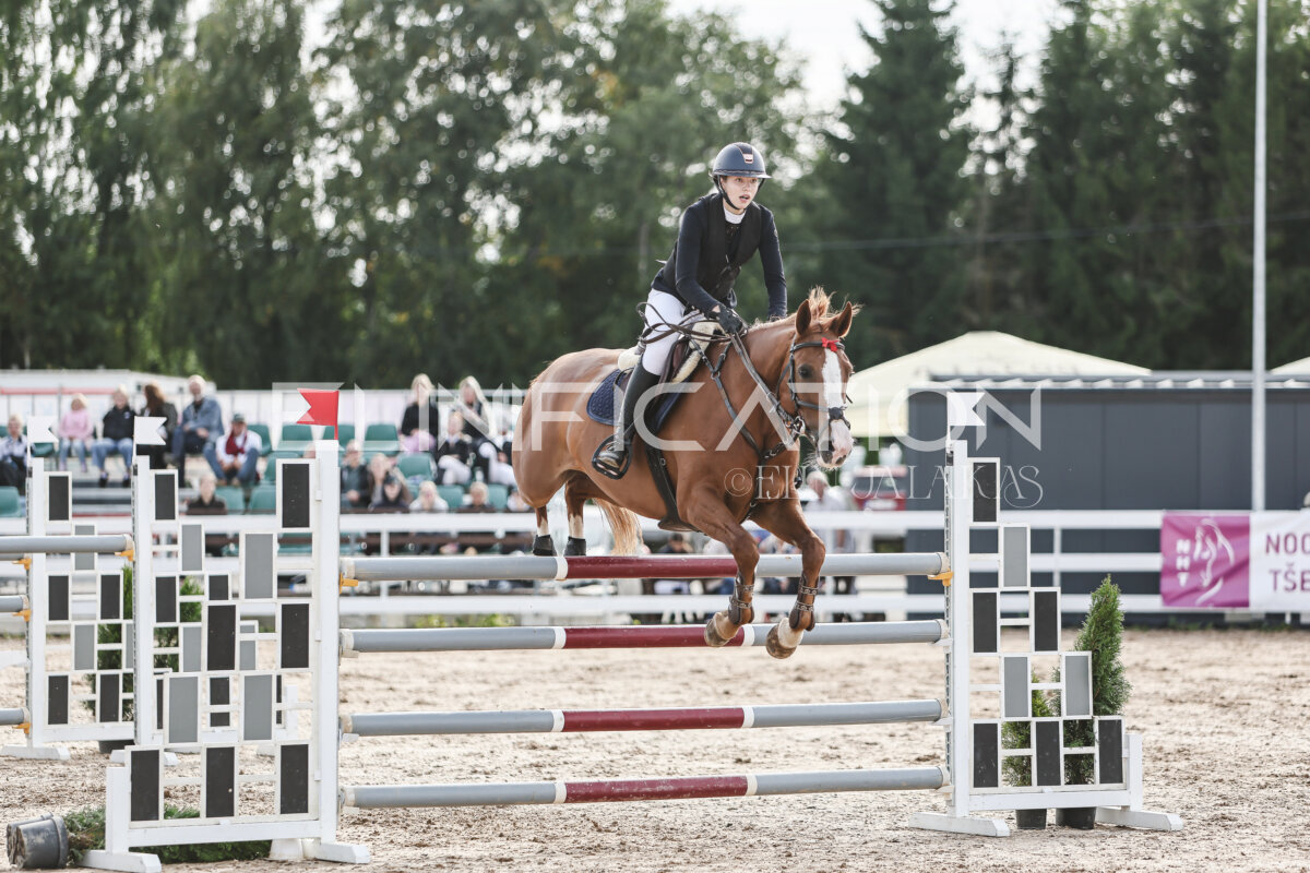 NHTS_2026_7_hc130-135cm_156