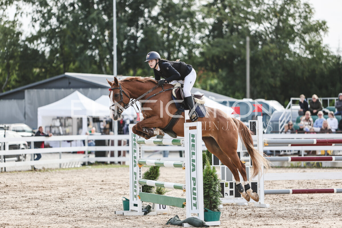 NHTS_2026_7_hc130-135cm_157