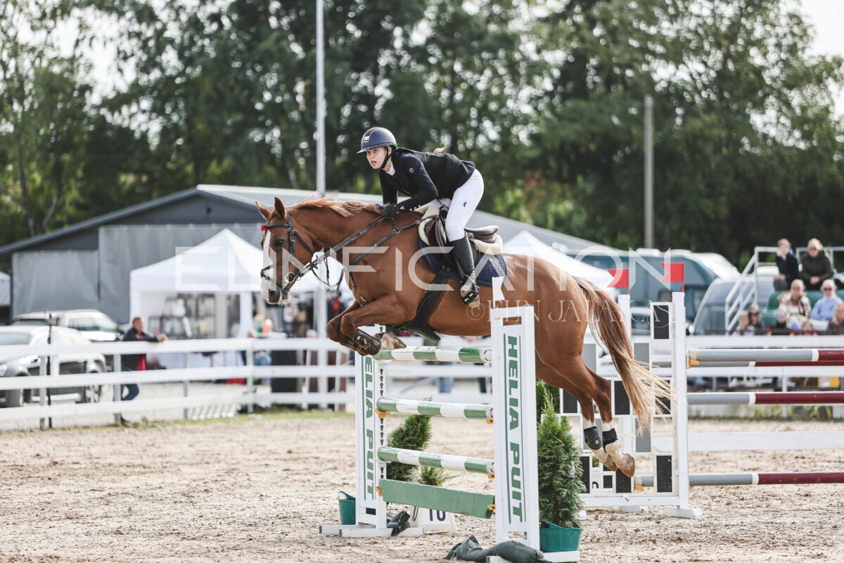 NHTS_2026_7_hc130-135cm_158