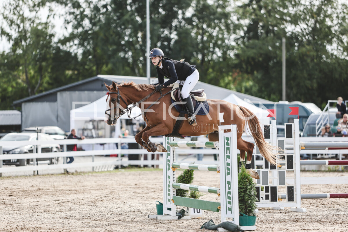 NHTS_2026_7_hc130-135cm_159