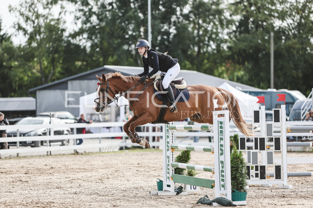 NHTS_2026_7_hc130-135cm_160