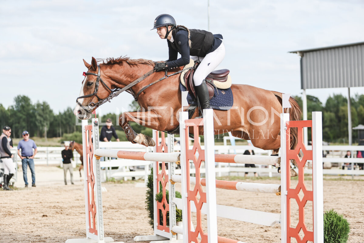 NHTS_2026_7_hc130-135cm_162