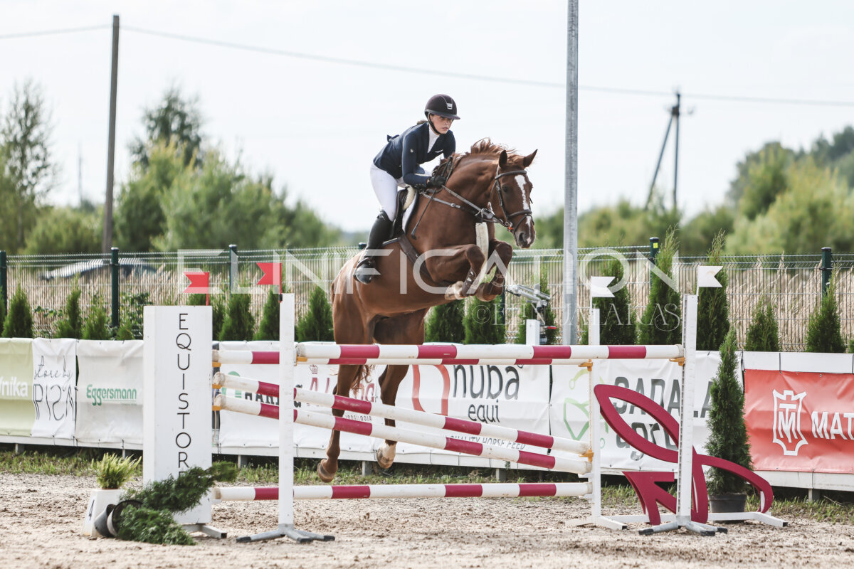 NHTS_2026_7_hc130-135cm_164