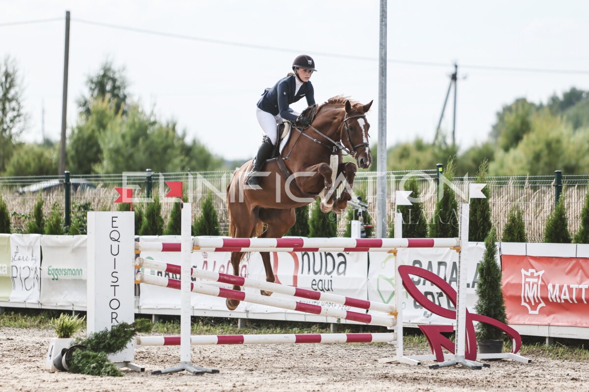 NHTS_2026_7_hc130-135cm_165