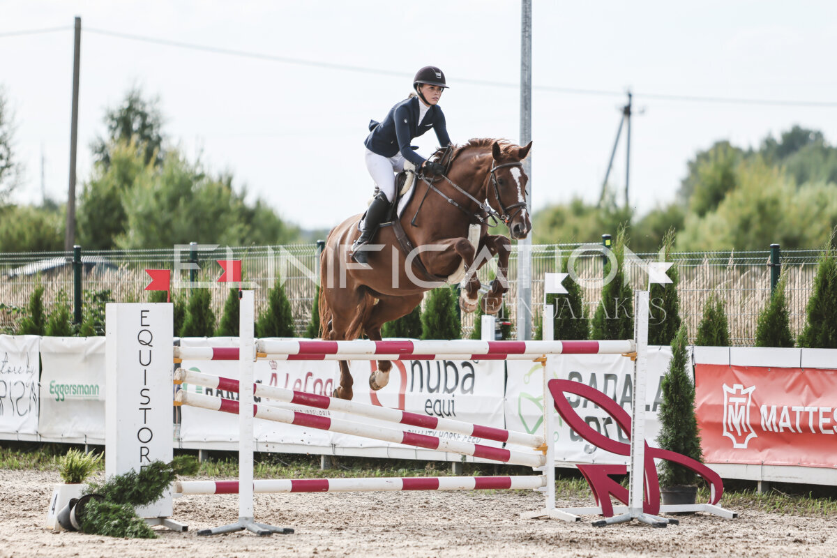 NHTS_2026_7_hc130-135cm_166