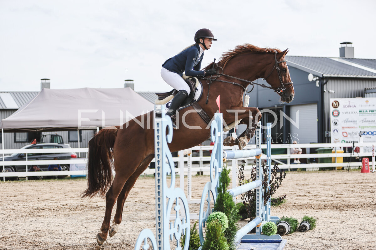 NHTS_2026_7_hc130-135cm_172