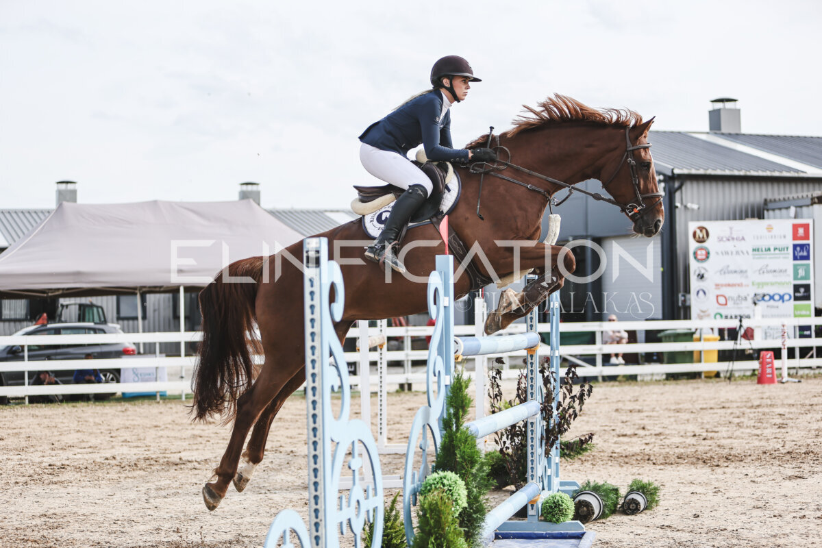 NHTS_2026_7_hc130-135cm_173
