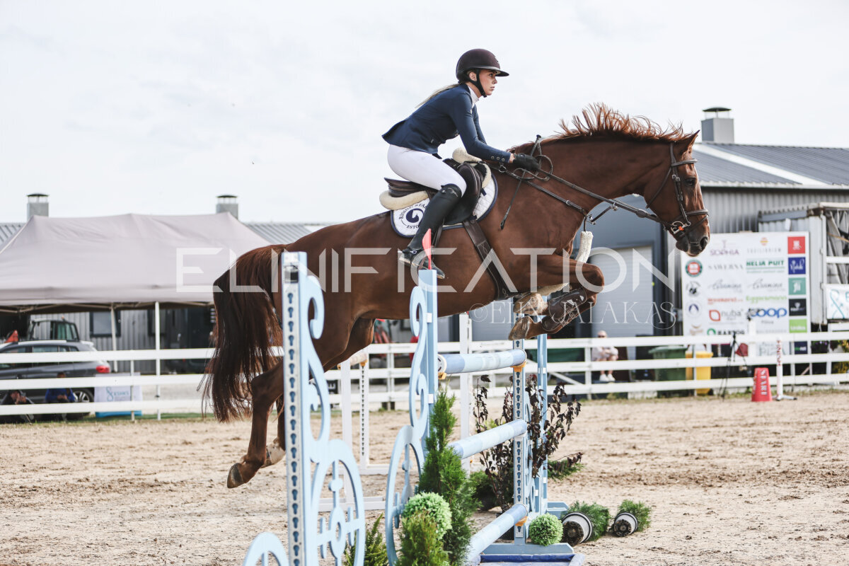 NHTS_2026_7_hc130-135cm_174