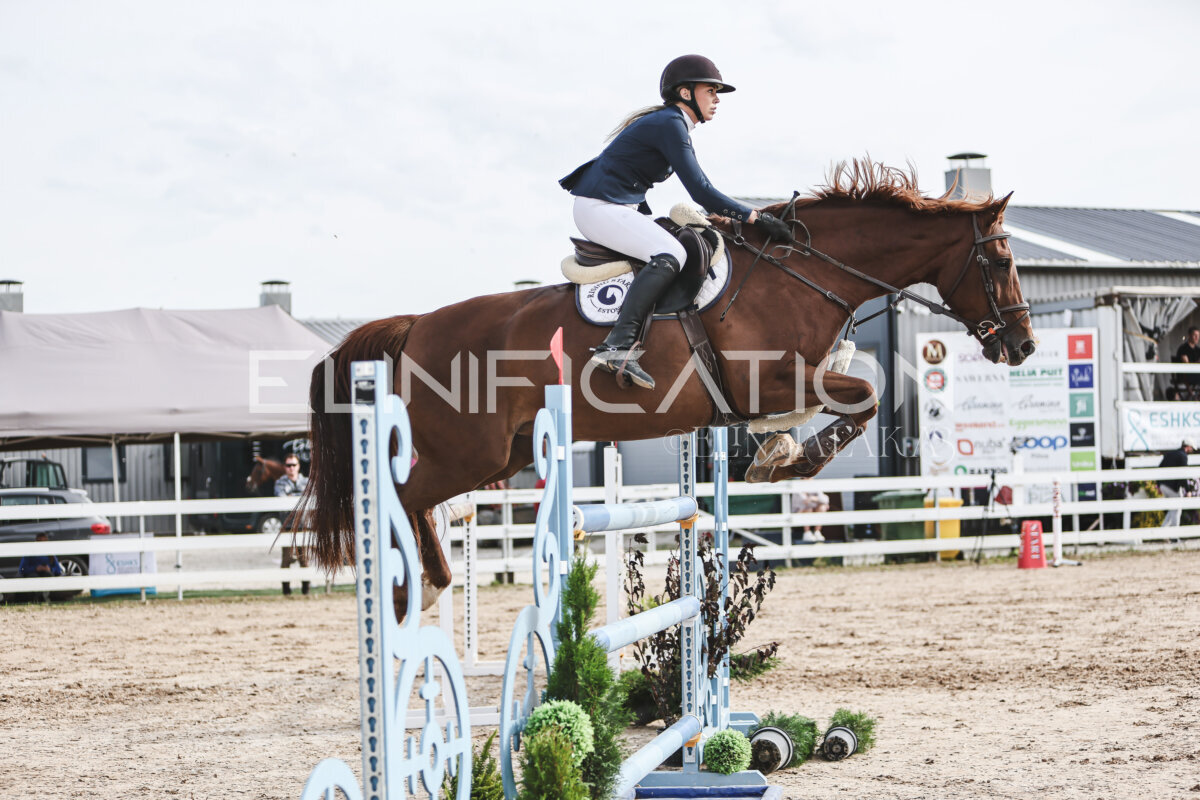 NHTS_2026_7_hc130-135cm_175
