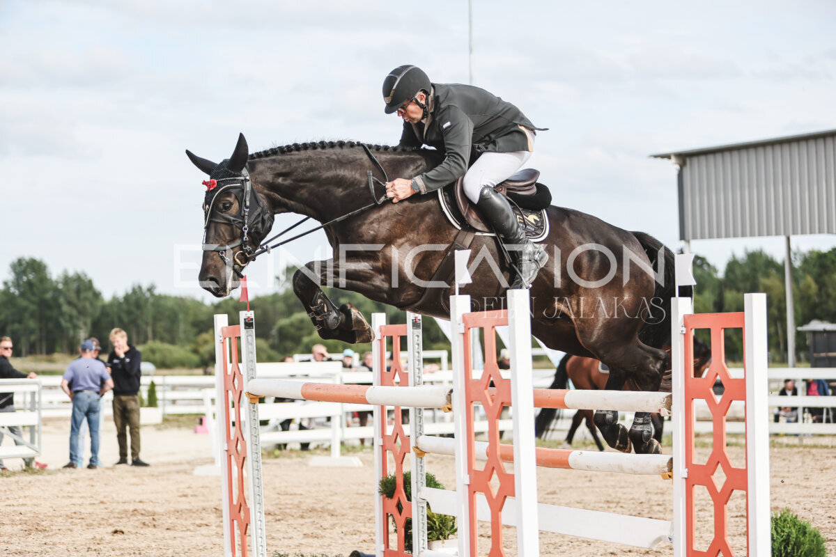 NHTS_2026_7_hc130-135cm_186