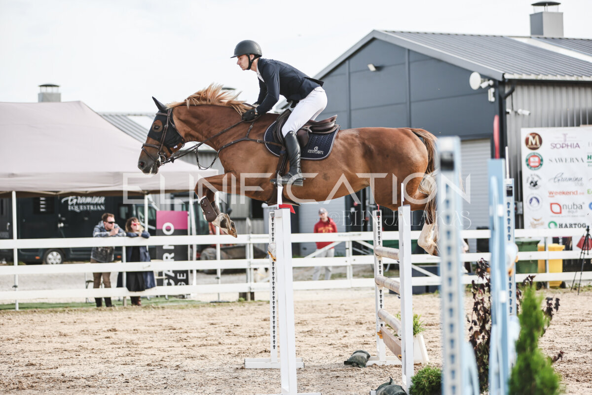 NHTS_2026_7_hc130-135cm_191