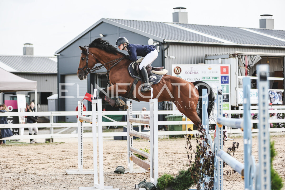 NHTS_2026_7_hc130-135cm_196