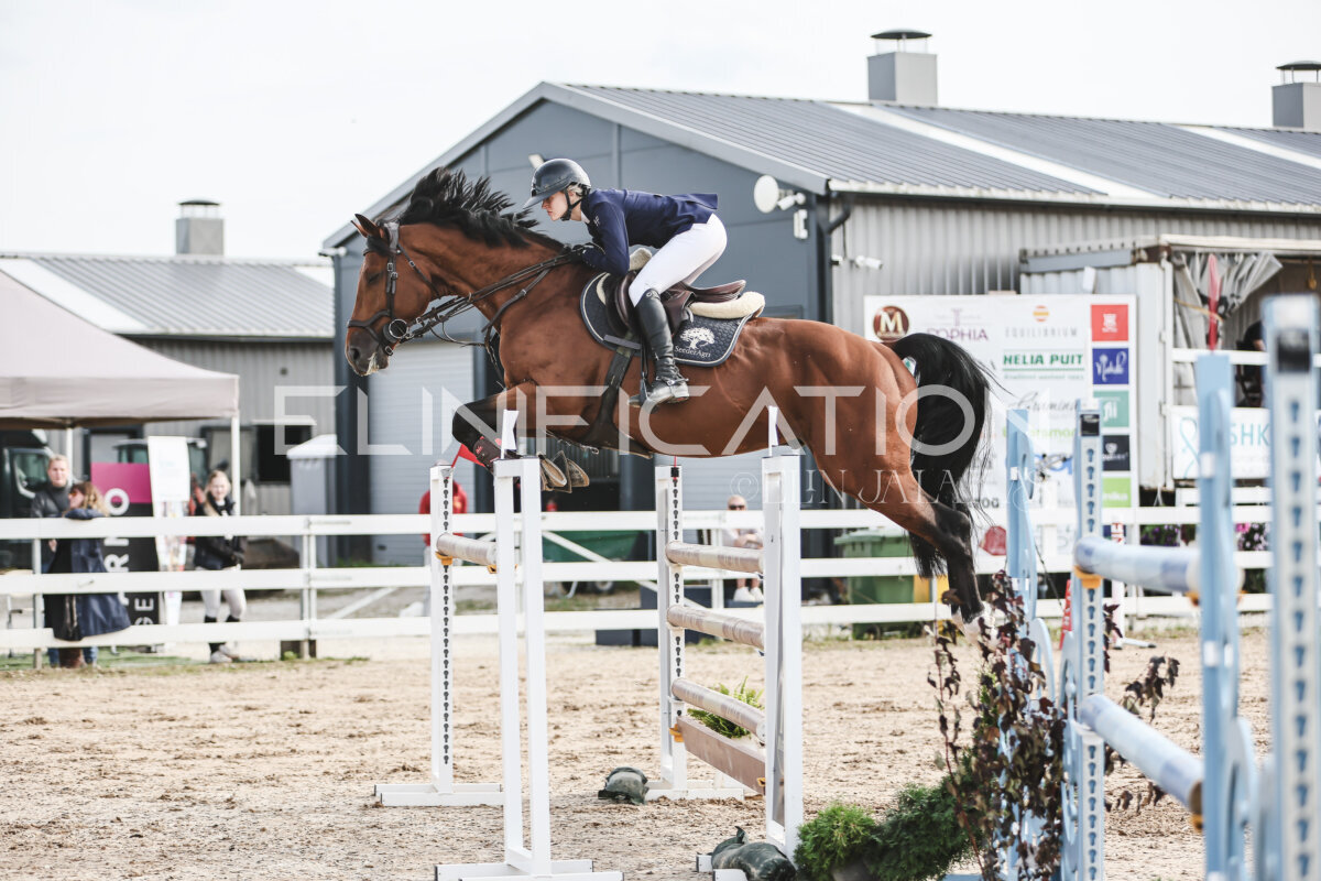 NHTS_2026_7_hc130-135cm_197