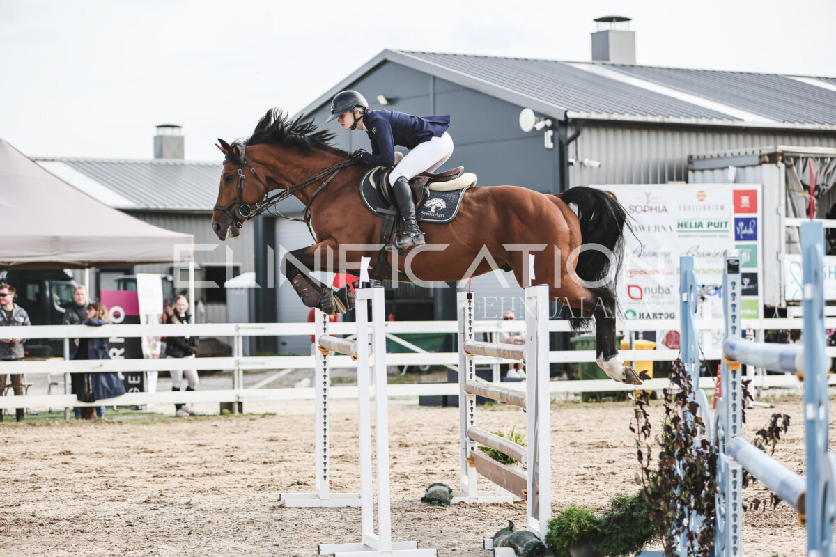 NHTS_2026_7_hc130-135cm_198