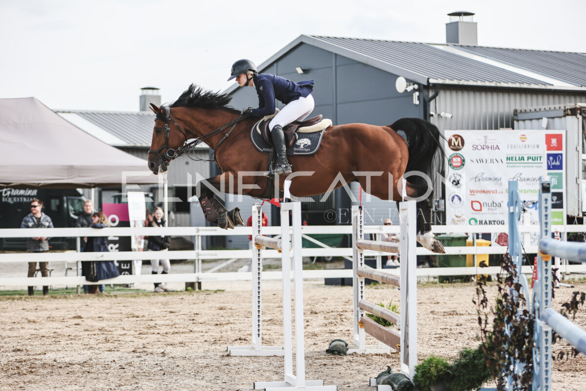 NHTS_2026_7_hc130-135cm_199