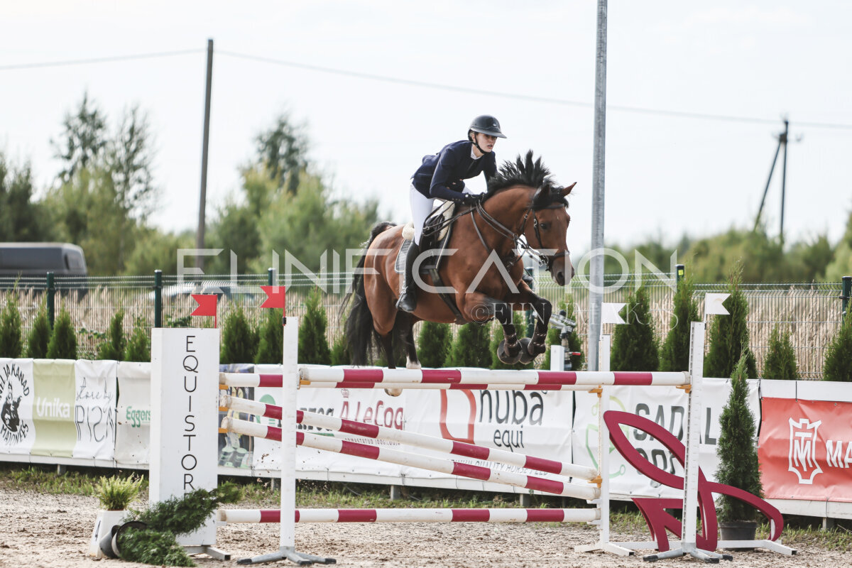 NHTS_2026_7_hc130-135cm_200