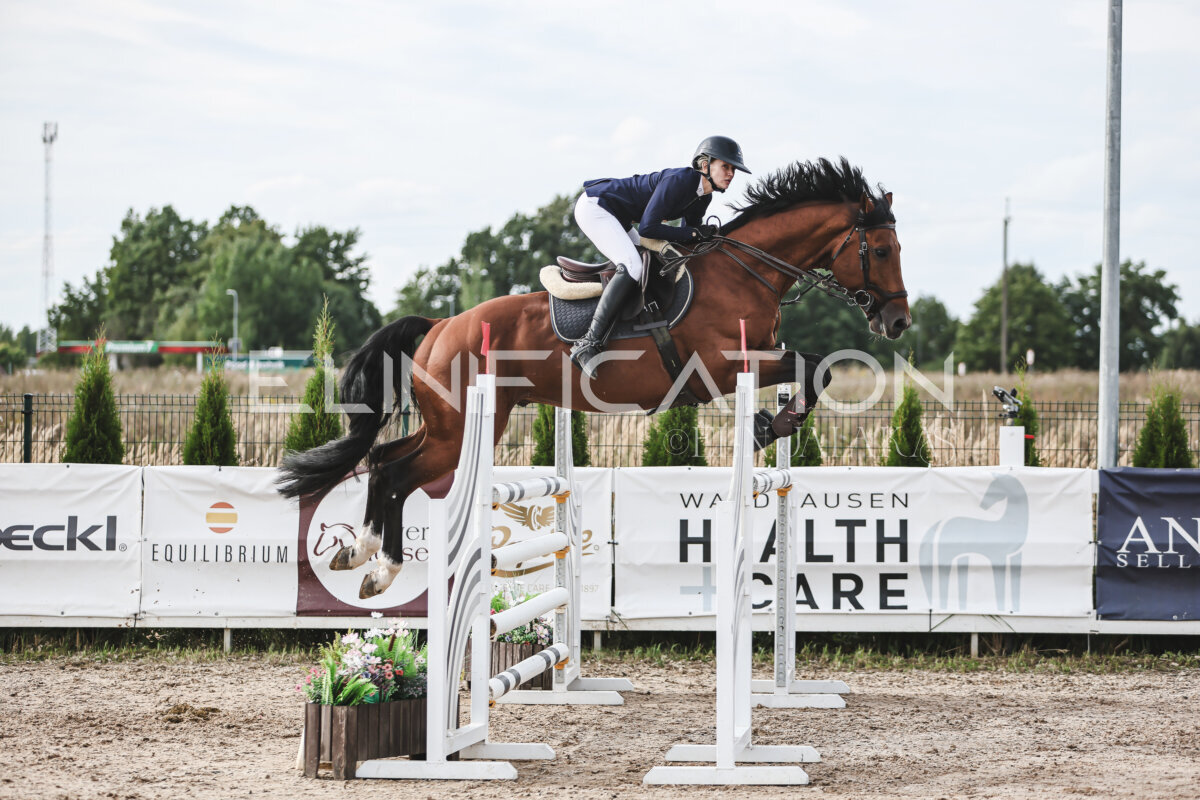 NHTS_2026_7_hc130-135cm_202