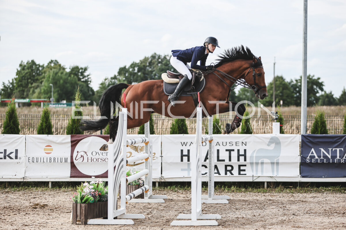 NHTS_2026_7_hc130-135cm_203