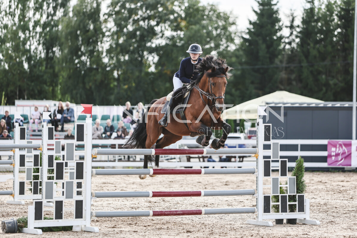 NHTS_2026_7_hc130-135cm_205
