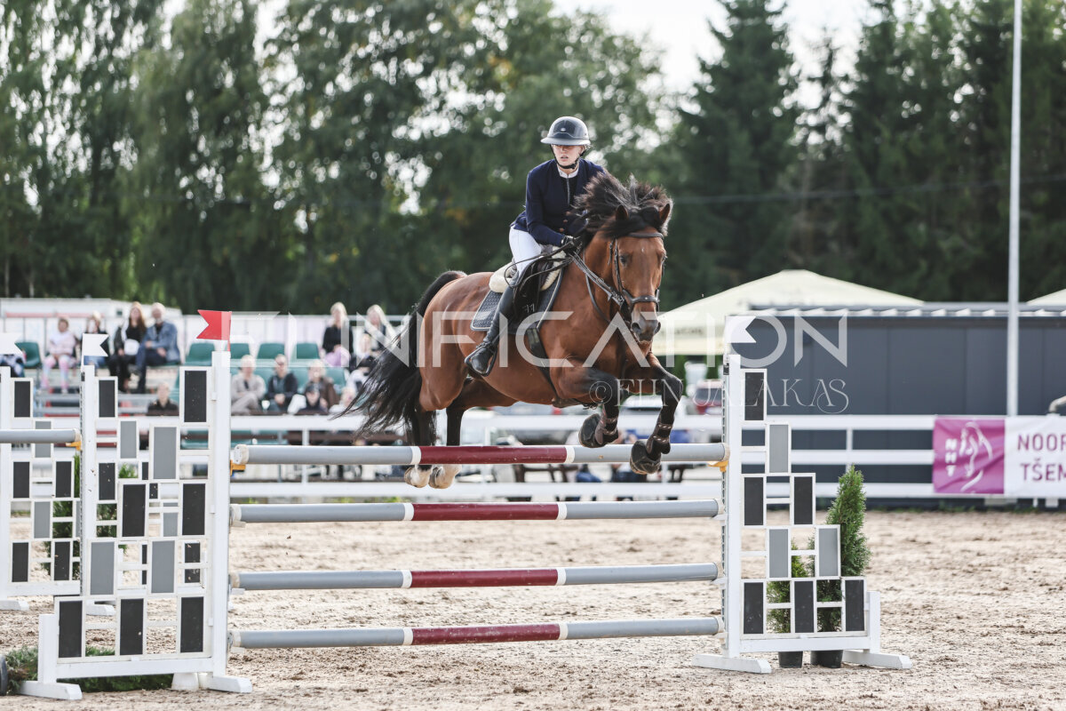 NHTS_2026_7_hc130-135cm_206