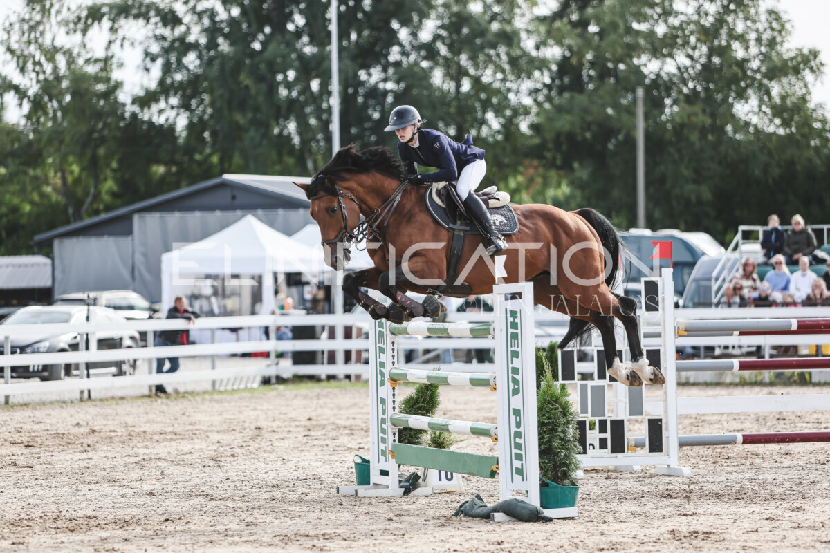 NHTS_2026_7_hc130-135cm_207