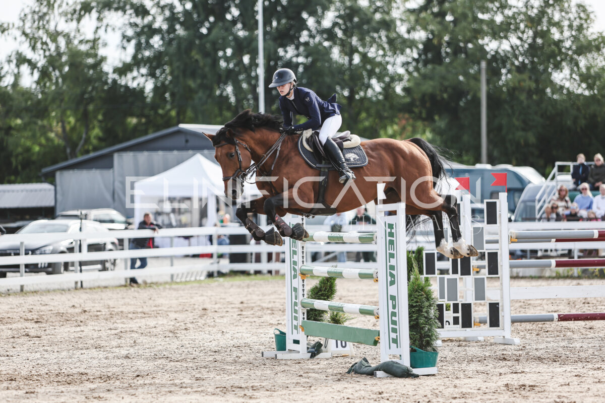 NHTS_2026_7_hc130-135cm_208