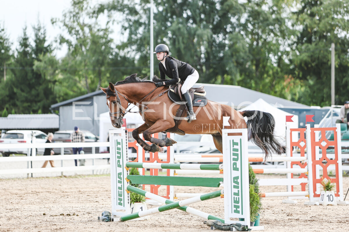 NHTS_2026_9_110cm_006