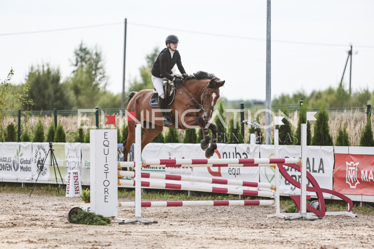 NHTS_2026_9_110cm_011