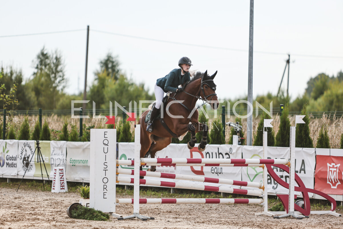 NHTS_2026_9_110cm_121