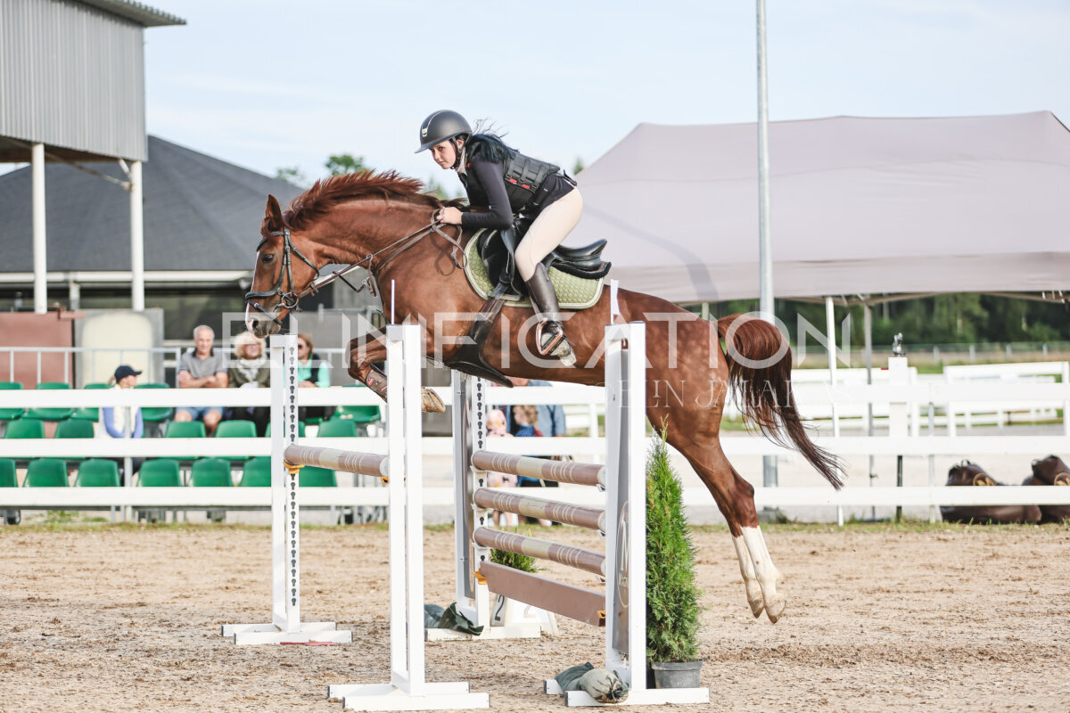 NHTS_2026_9_110cm_131