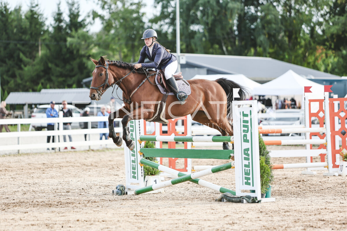 NHTS_2026_9_110cm_141