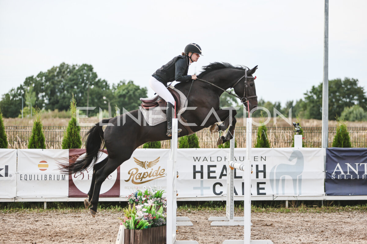 NHTS_2026_9_110cm_197