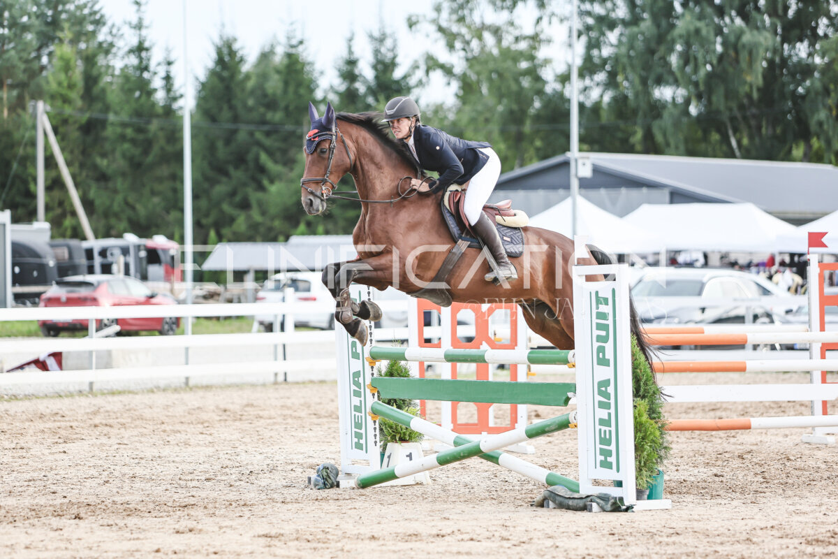 NHTS_2026_9_110cm_203