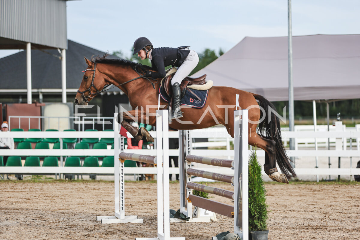 NHTS_2026_10_120cm_021