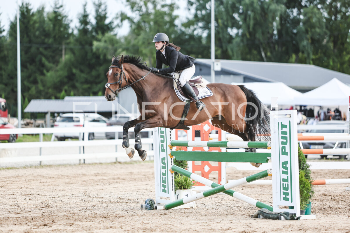 NHTS_2026_10_120cm_130