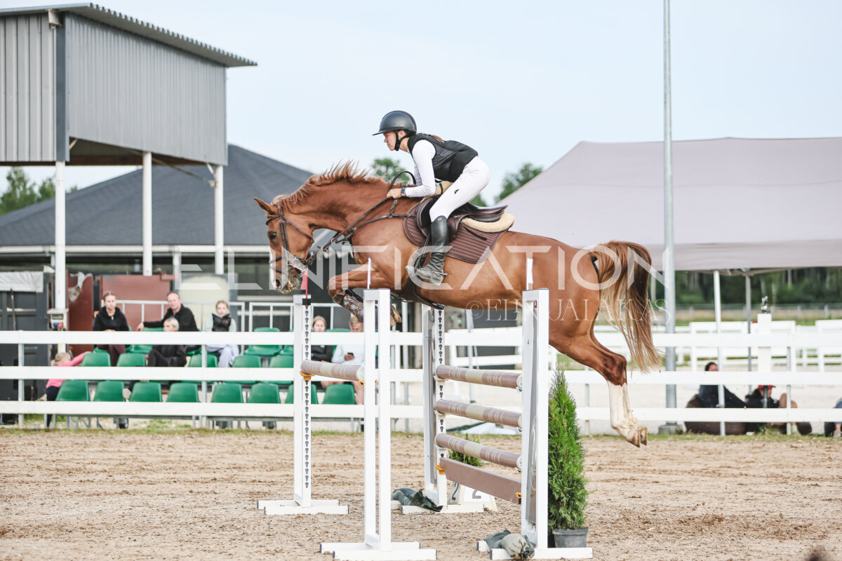 NHTS_2026_10_120cm_140