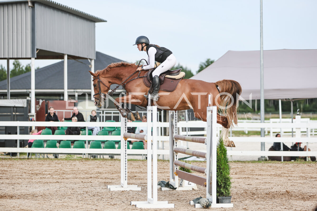 NHTS_2026_10_120cm_141
