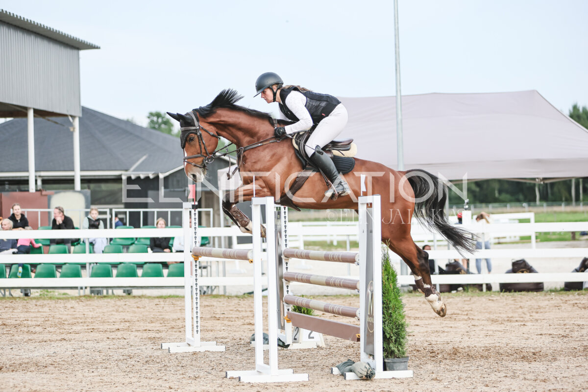 NHTS_2026_10_120cm_155