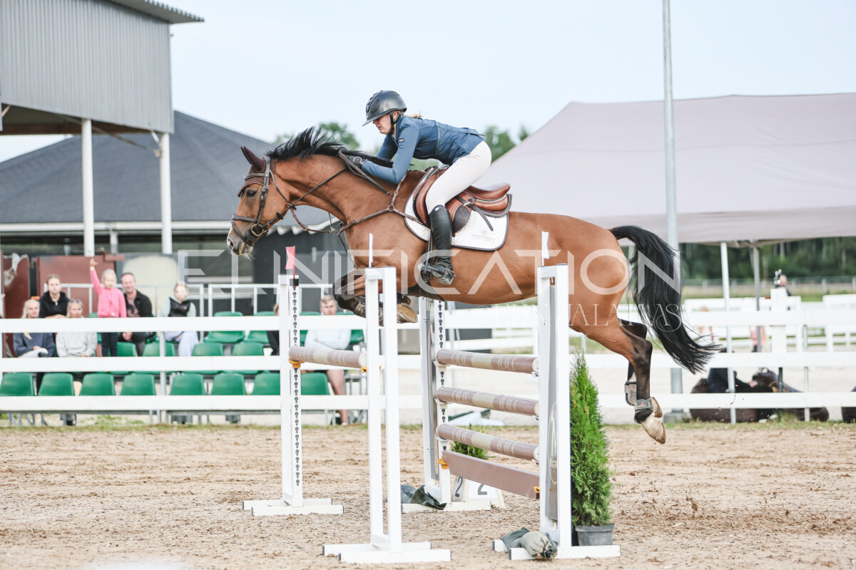 NHTS_2026_10_120cm_178