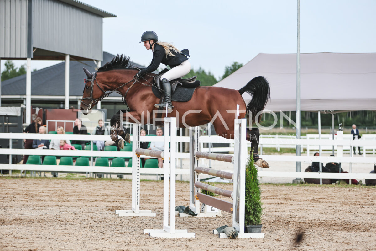 NHTS_2026_10_120cm_190