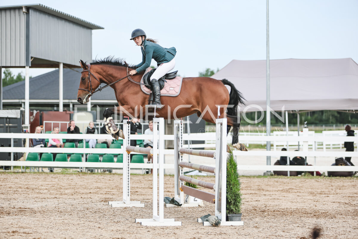 NHTS_2026_10_120cm_201