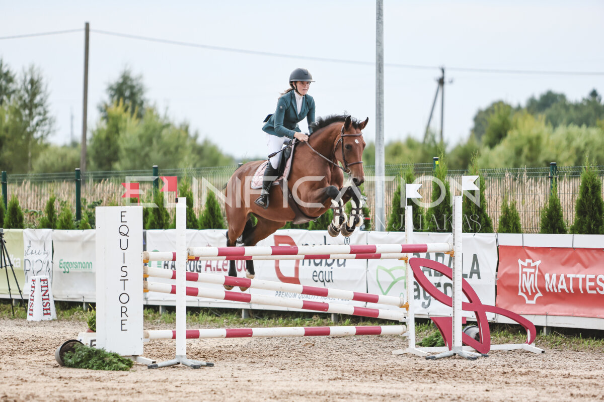 NHTS_2026_10_120cm_203