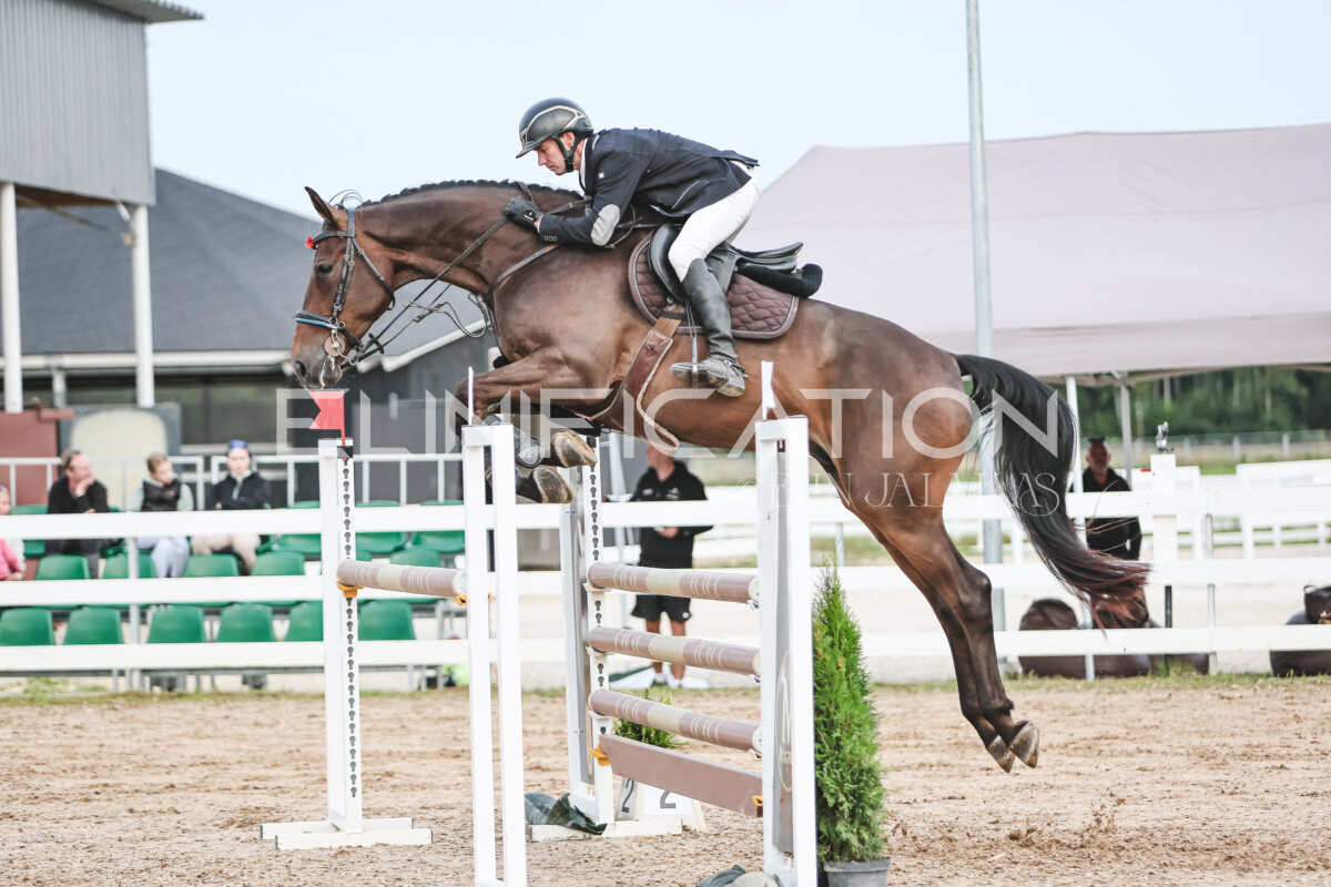 NHTS_2026_10_120cm_210