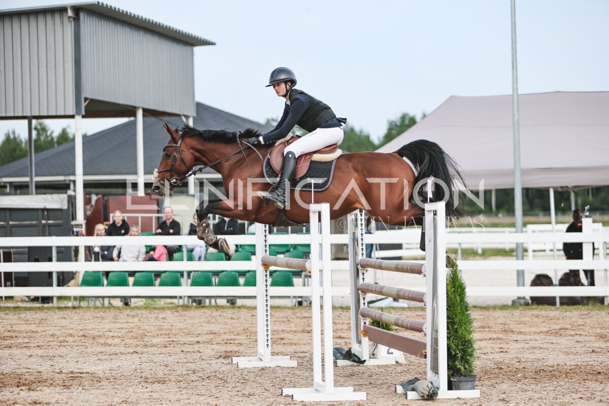 NHTS_2026_10_120cm_224