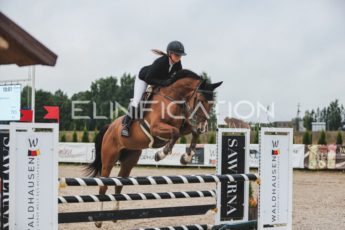 NHTS_2026_11_100cm_005