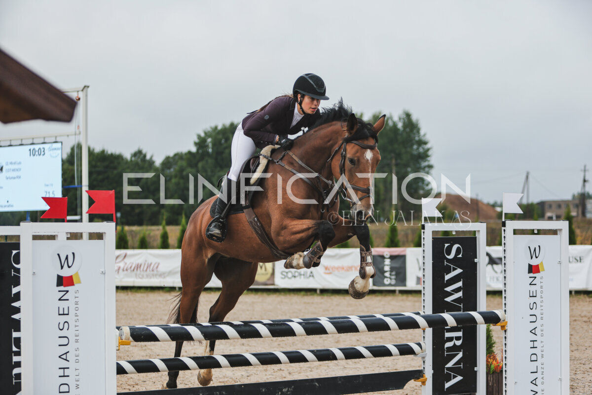 NHTS_2026_11_100cm_010