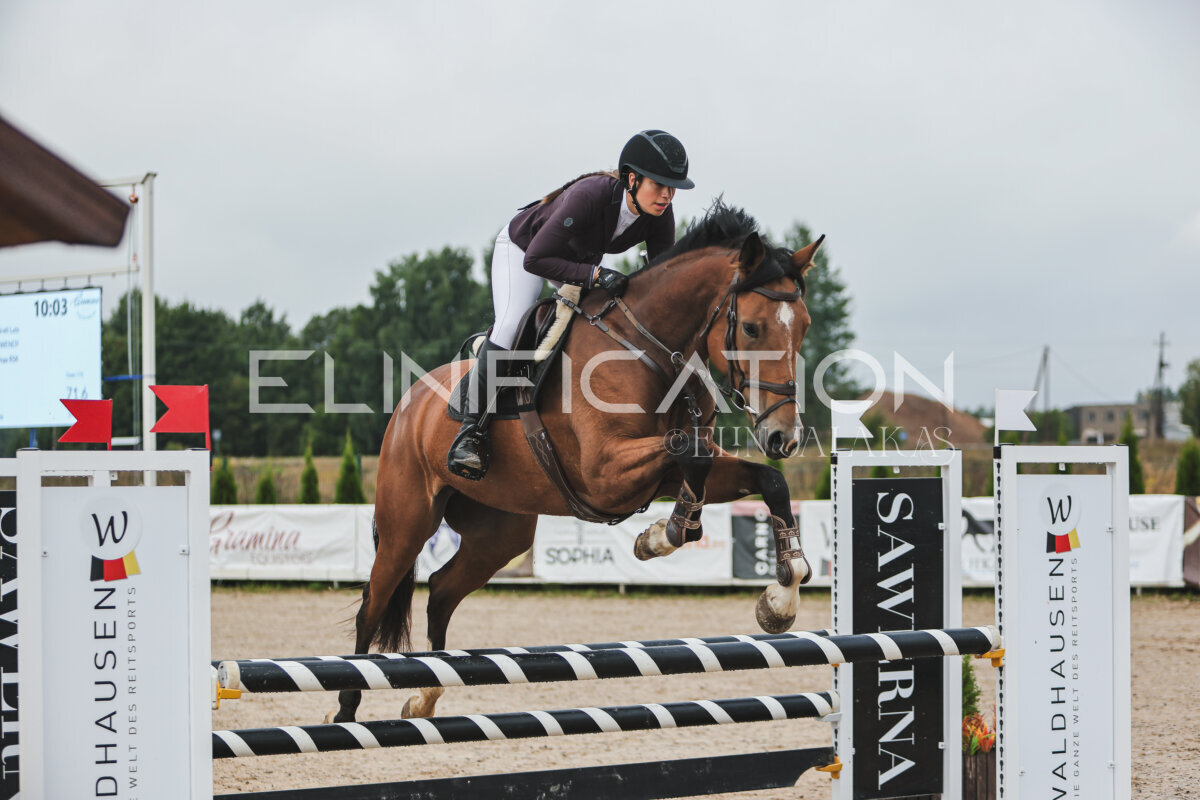 NHTS_2026_11_100cm_011
